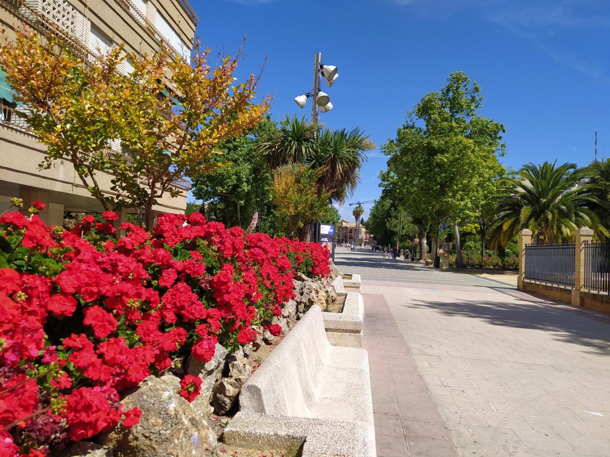 Alojamiento Los Alamos Alcalá la Real Kültér fotó